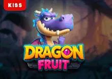 Dragon Fruit - SpinCity - Zimbabwe